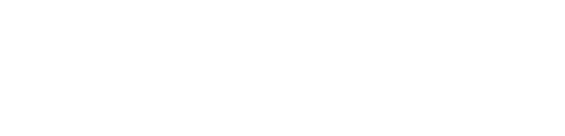 Team Leader Conference